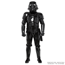 Load image into Gallery viewer, FALSE